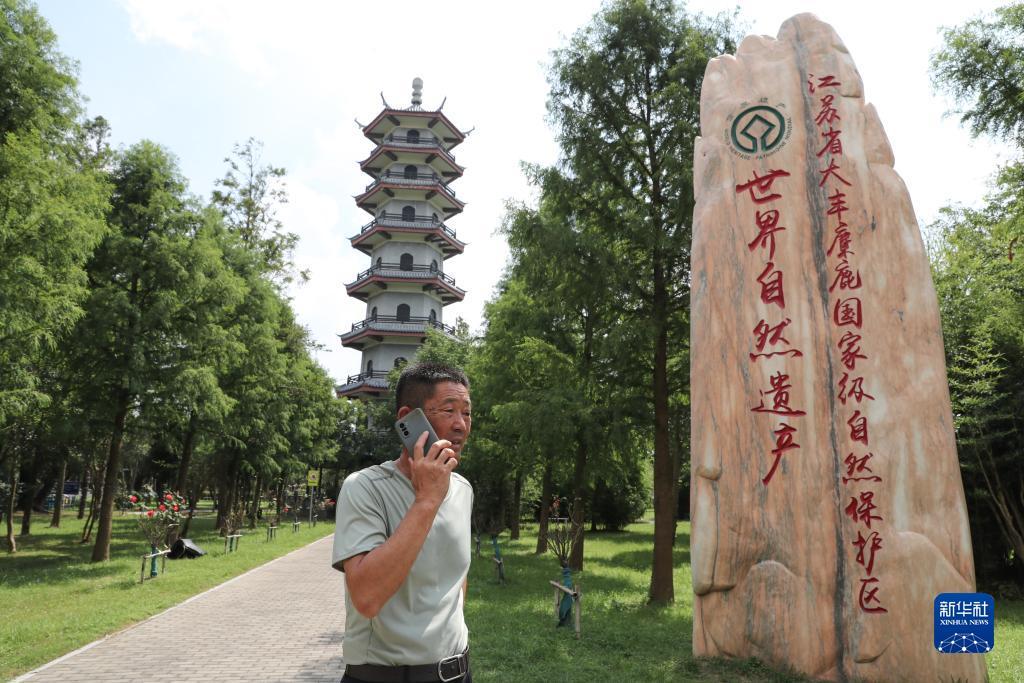 手机易游老虎